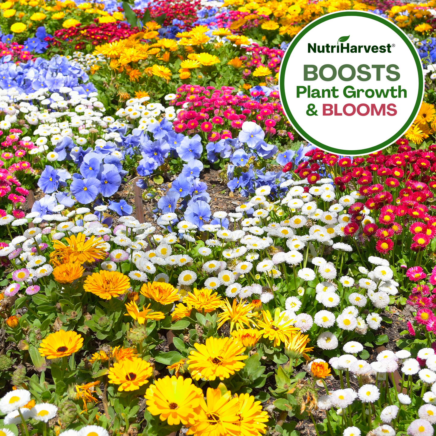 NutriHarvest® Super Organic Fertilizer 3-3-3 for Flowers & Perennials, OMRI Listed Plus USDA-Certified Biobased, in Resealable Bag
