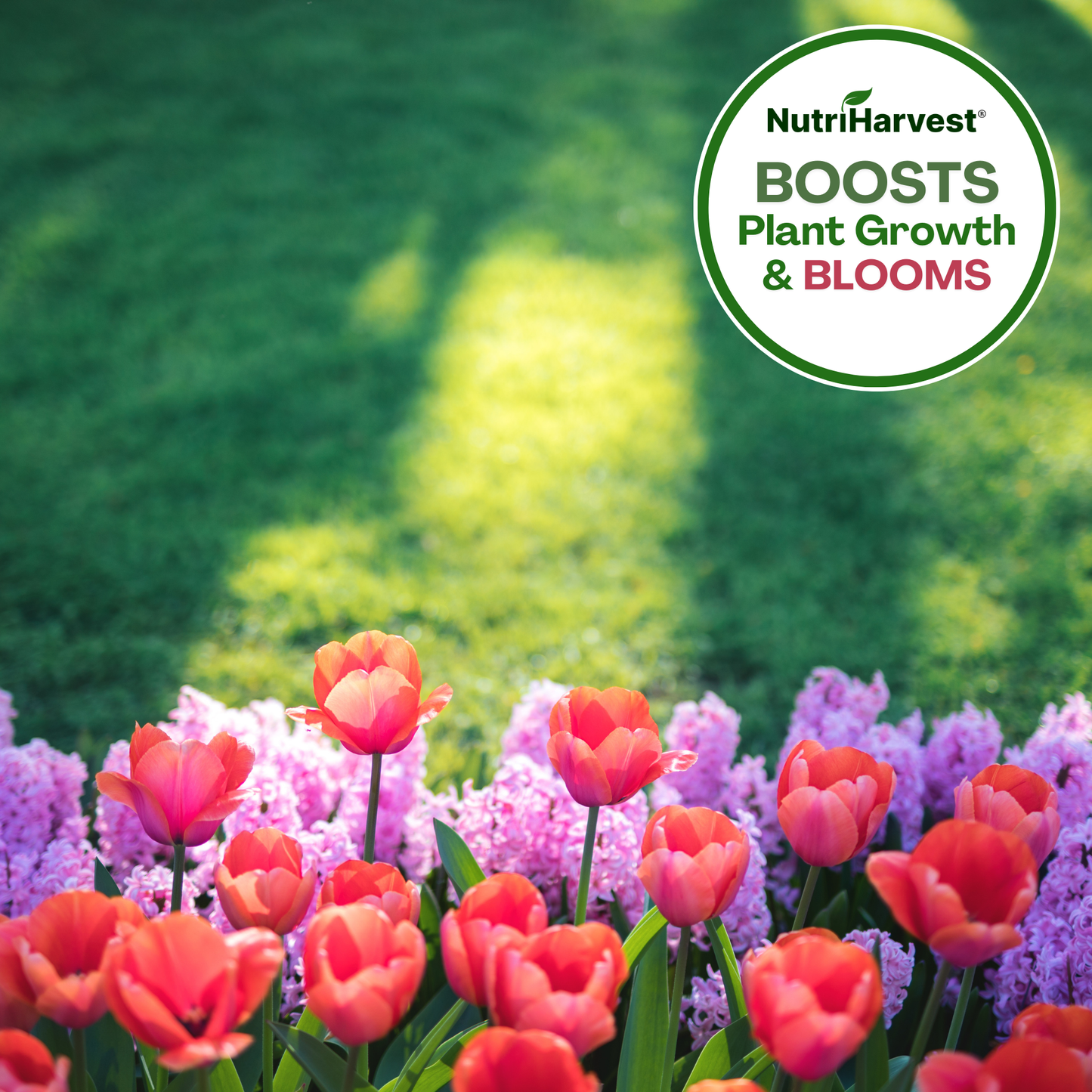 NutriHarvest® Super Organic Fertilizer 3-3-3 for Flowers & Perennials, OMRI Listed Plus USDA-Certified Biobased, in Resealable Bag