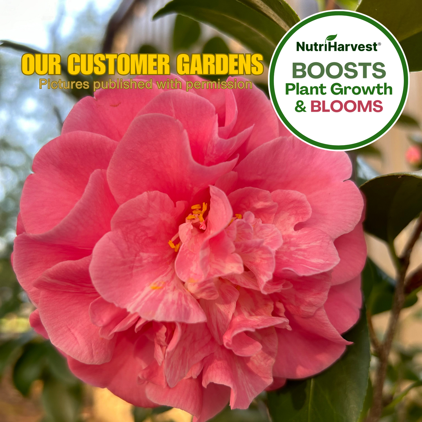 NutriHarvest® Super Organic Fertilizer 3-3-3 for Flowers & Perennials, OMRI Listed Plus USDA-Certified Biobased, in Resealable Bag