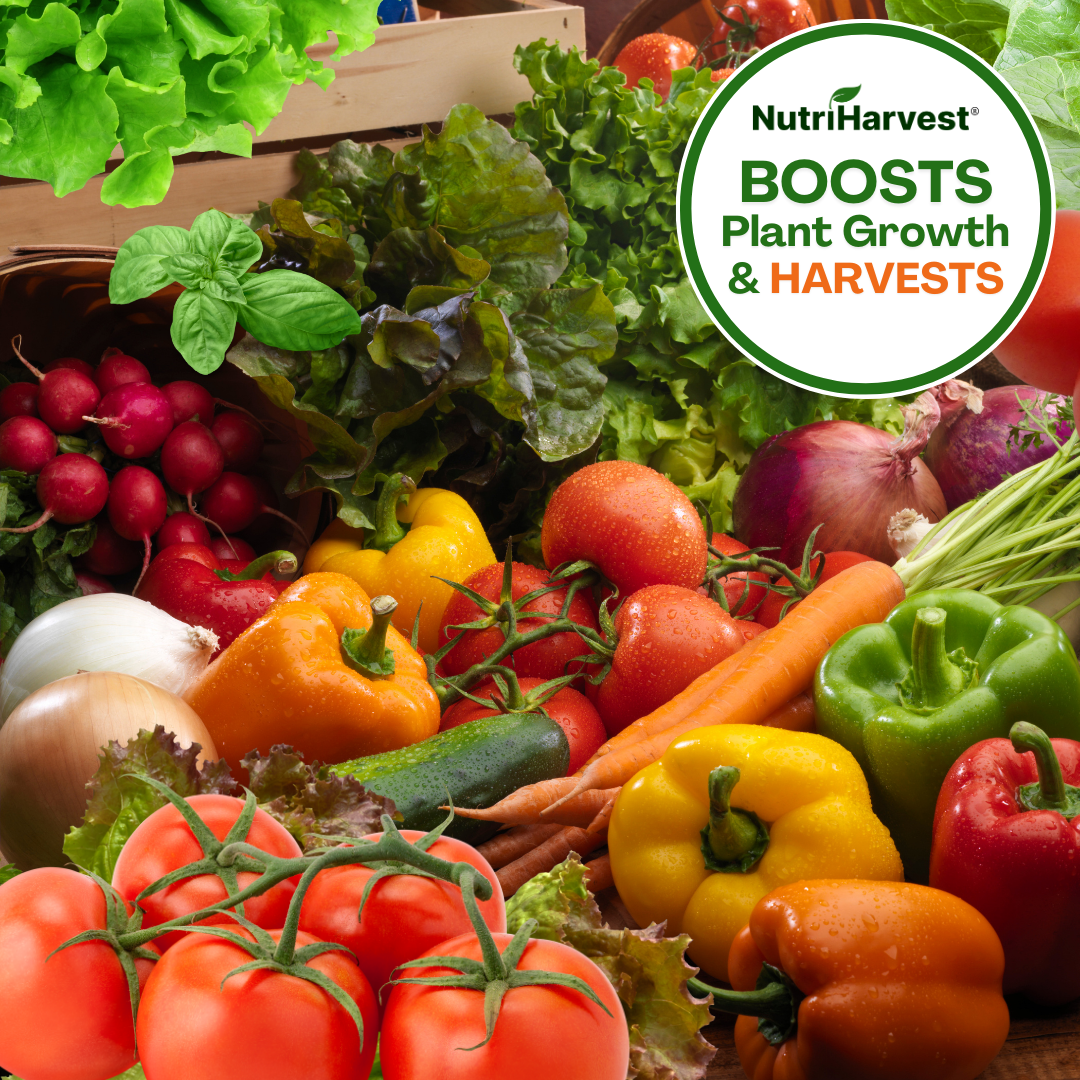 NutriHarvest® Super Organic Fertilizer With Biostimulant 3-3-3, OMRI Listed Plus USDA-Certified Biobased, in Resealable Bag