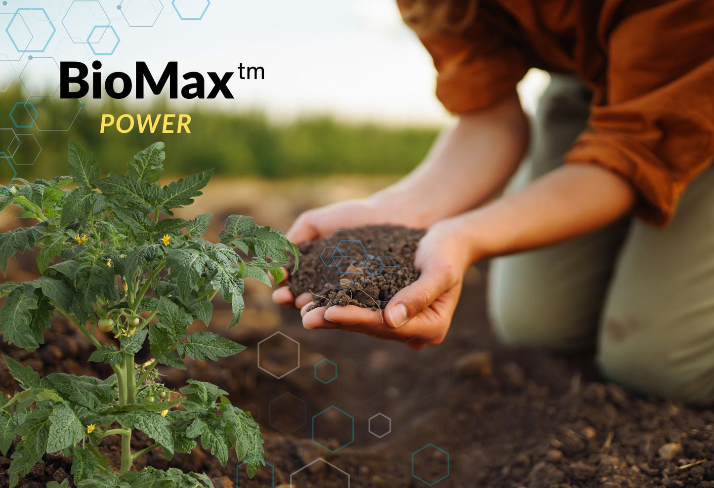 Premium Organic BioMax Biostimulant Plant Fertility Boost in a Resealable Bag