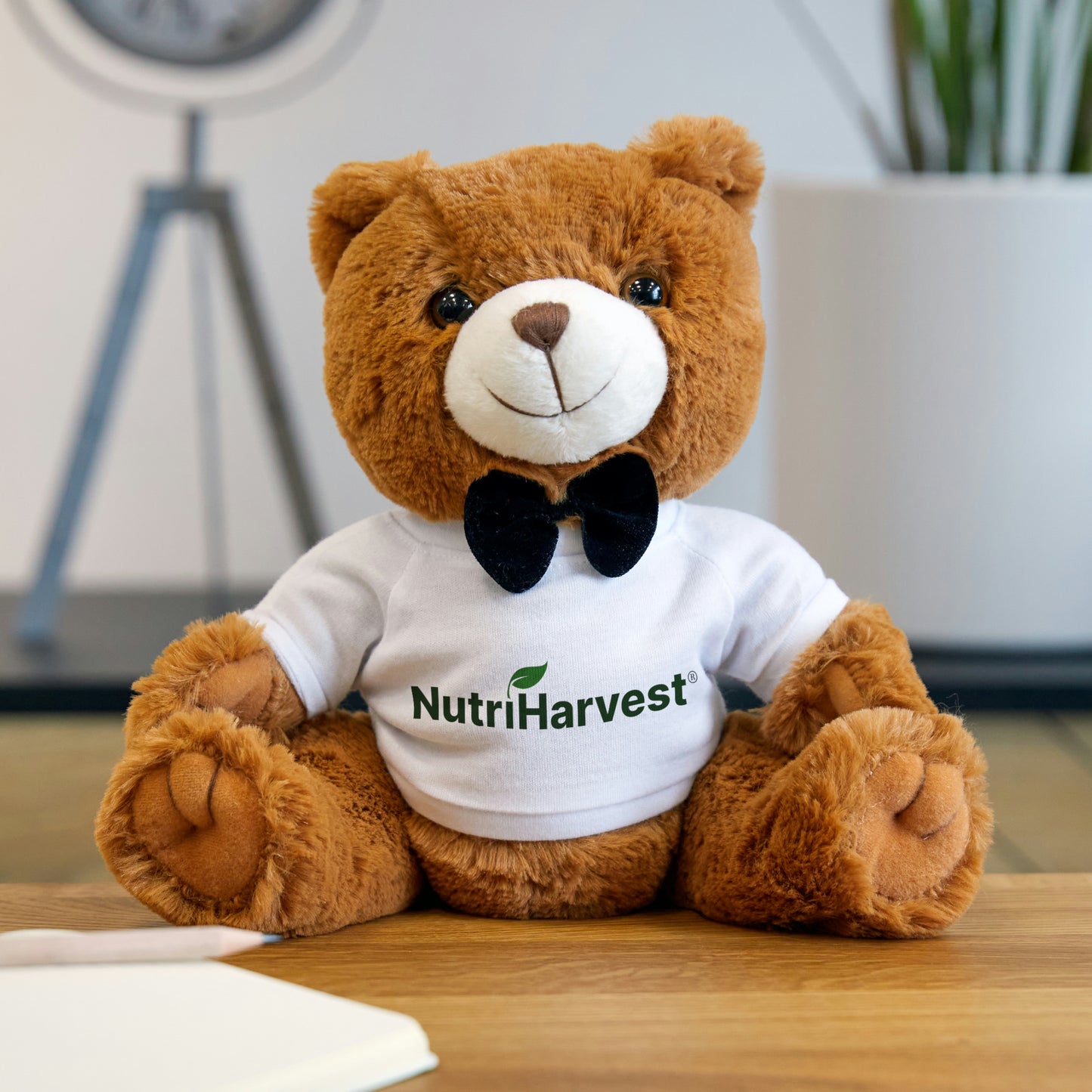 Teddy Bear with T-Shirt NutriHarvest®
