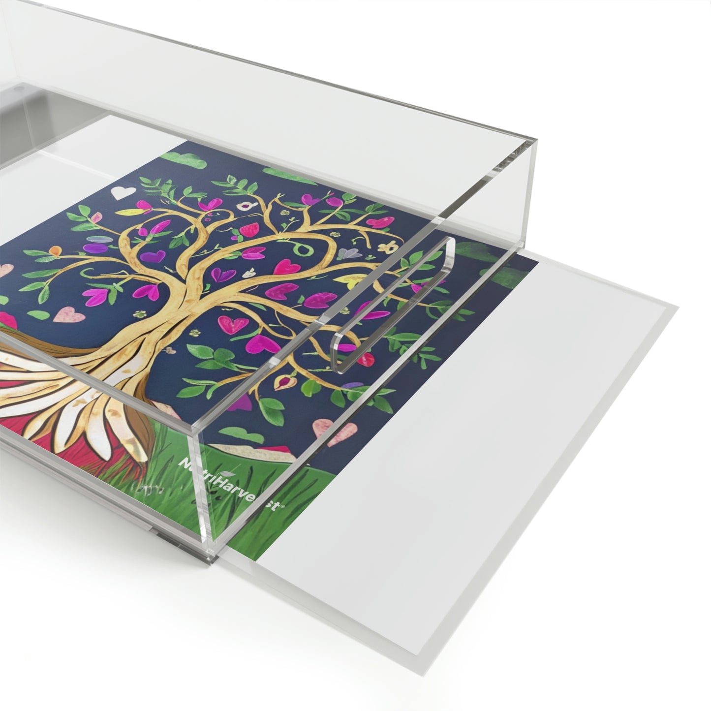 Acrylic Serving Tray