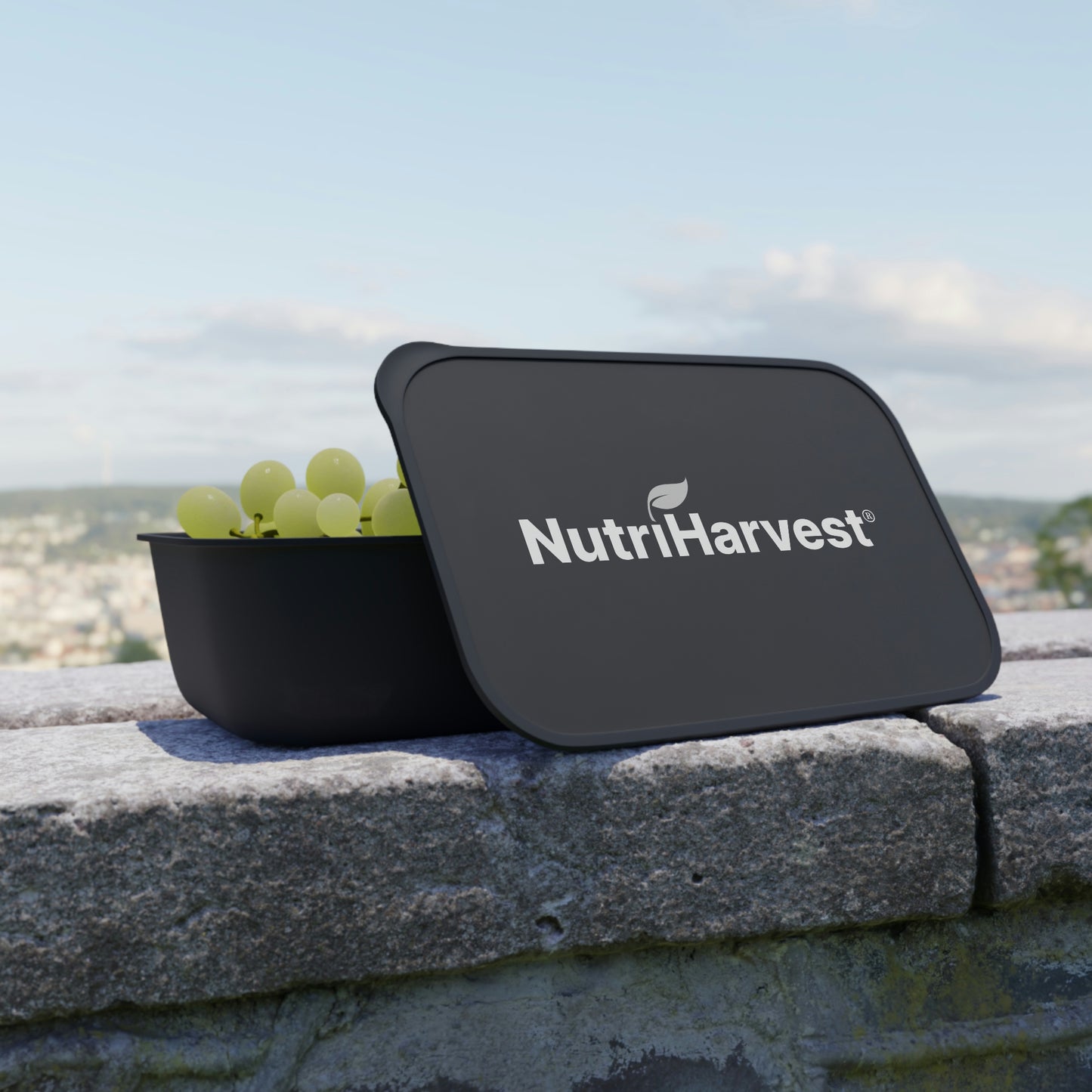 PLA Bento Lunch Box with Band and Utensils NutriHarvest®