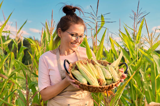Sweet Corn: Agronomist-Tested NutriHarvest® Organic Fertilizer