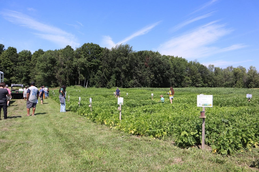 Field Results & Validation