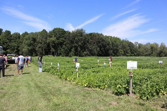 Field Results & Validation