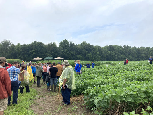 Field Trials: Agronomist-Tested NutriHarvest® Organic Fertilizer