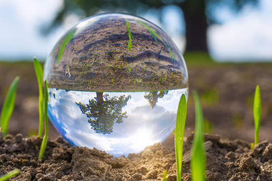 The Future is Here: The Ultimate Organic Fertilizer That's Saving Our Waters and Revolutionizing Farming!