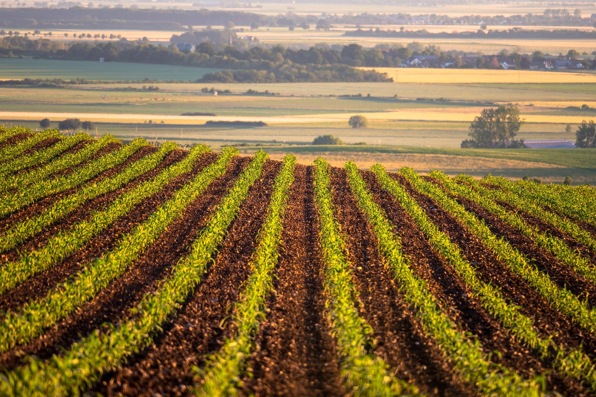 NutriHarvest® Organic Fertilizers and Eco-Friendly Merchandise at https://www.nutriharvest.com/