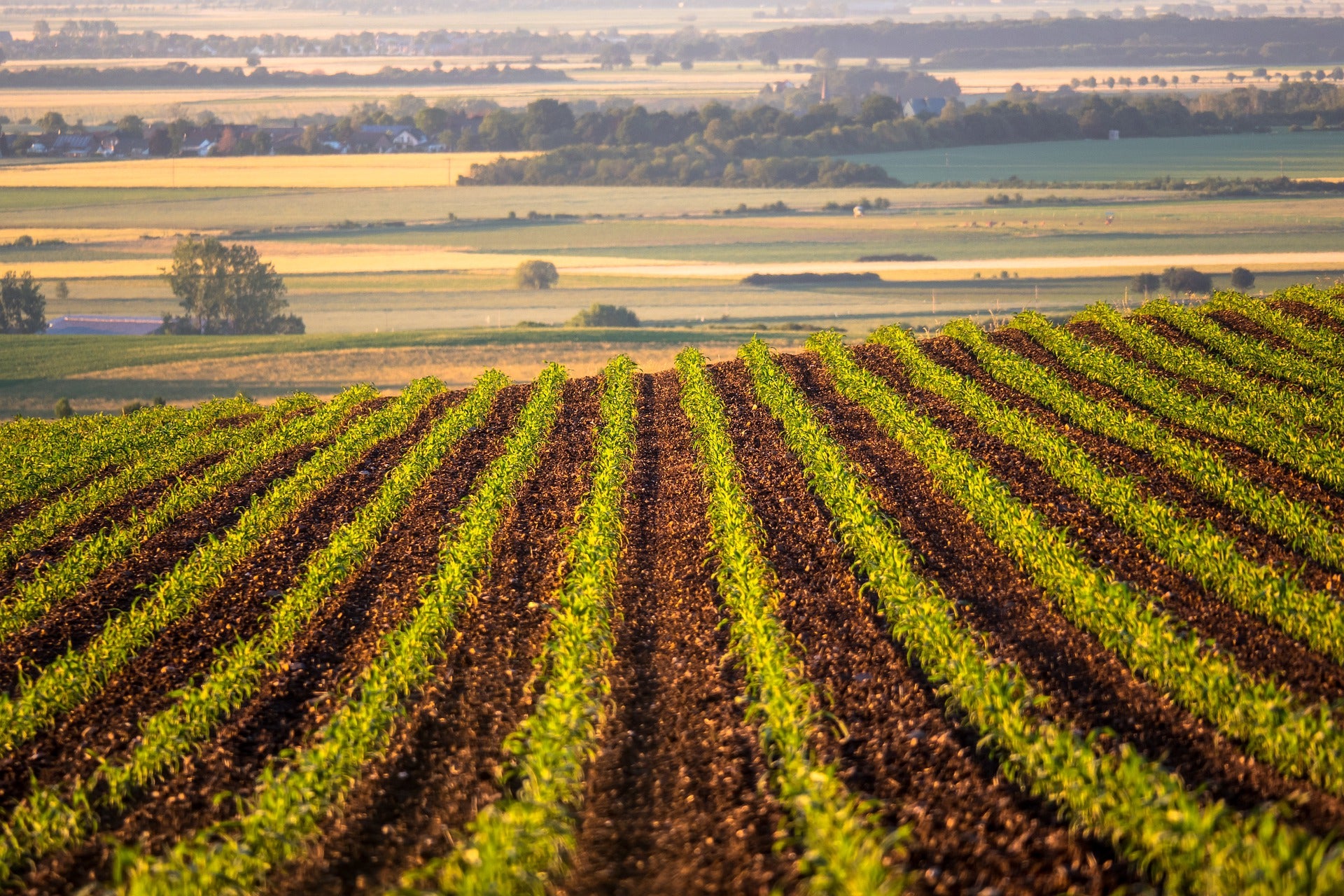 NutriHarvest® Organic Fertilizers and Eco-Friendly Merchandise at https://www.nutriharvest.com/