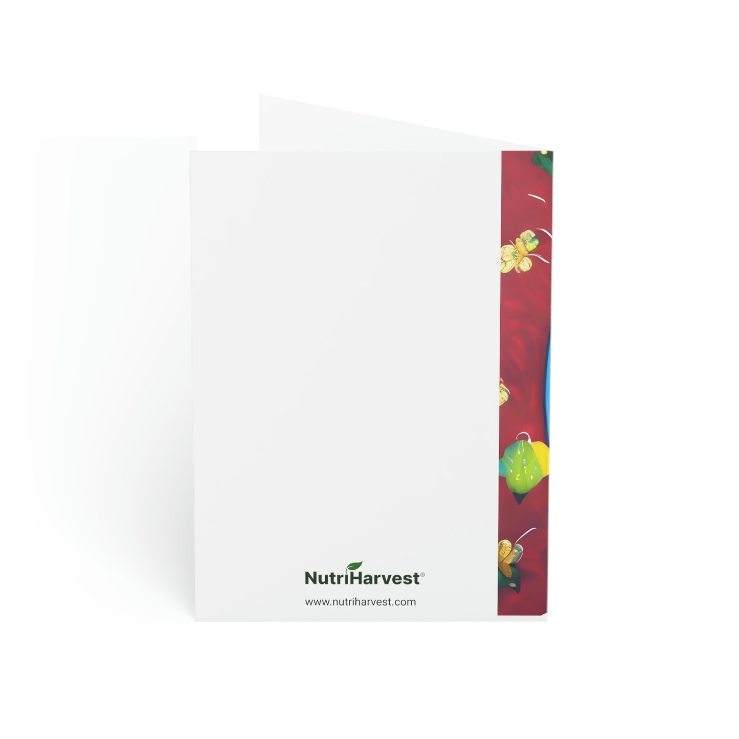 Beautiful Monarch  Butterfly on Earth Folded Sustainable Greeting Cards (1, 10, 30, or 50pcs)